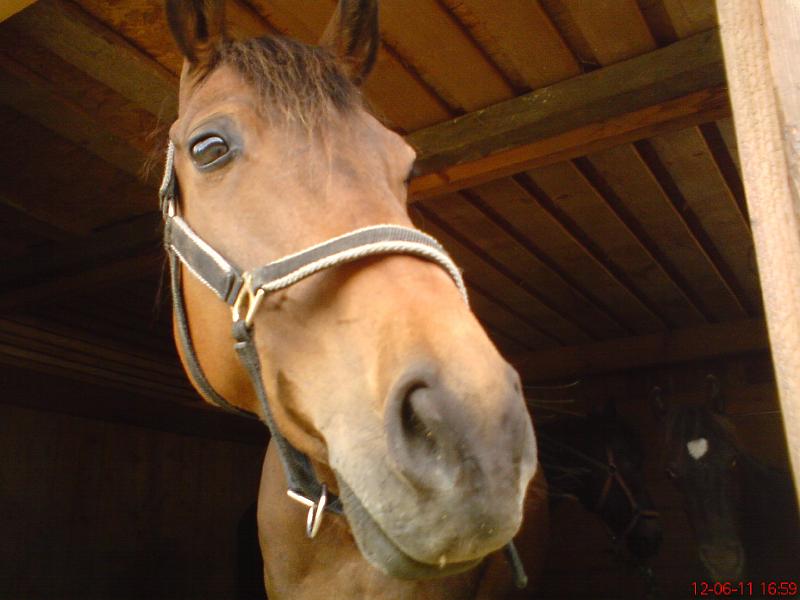 DSC00393.JPG - Rabinka