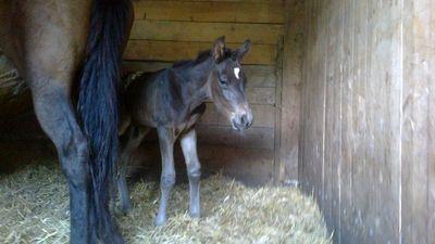 don1.jpg - Druhý den na světě :-)